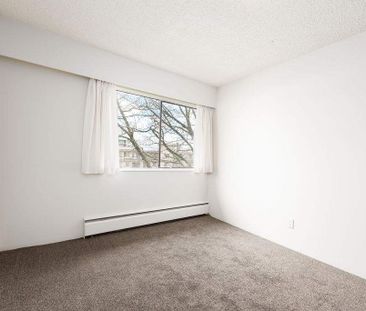 Maple Manor Apartments - Photo 3
