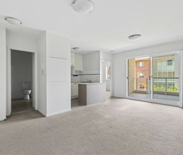 Beautiful Light Filled Apartment! - Photo 1