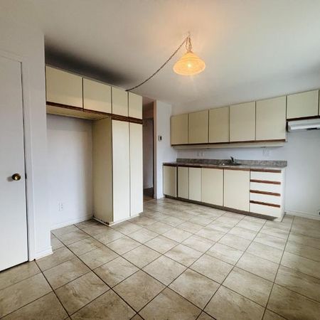 Appartement 4 ½ à louer Lévis juillet 2026 - Photo 3