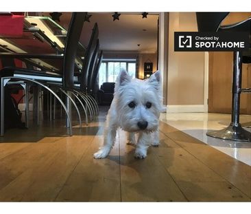 Room for rent in 4-bedroom house in Sandyford, Dublin - Photo 6
