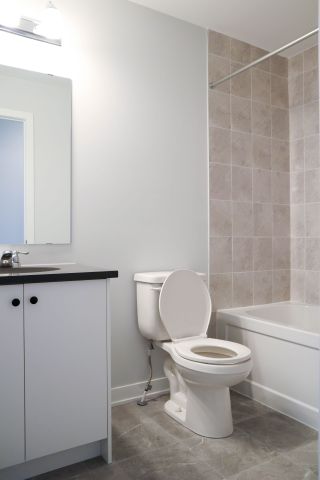 For Lease - 1062 Curraglass Walk, Stittsville - Munster - Richmond, Ontario - Photo 4