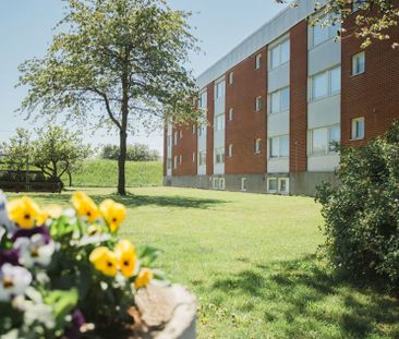 Ågatan 44 A, Bromölla - Photo 3