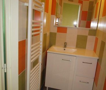 Location Appartement 1 pièce Meublé 20m² RISCLE 32400 - Photo 5