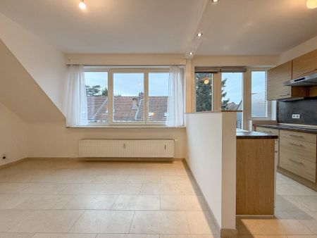 Rue de l'Elan, 1170, Watermael-Boitsfort - Photo 3