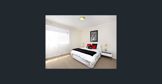 Secret Garden and full light natural - Photo 1