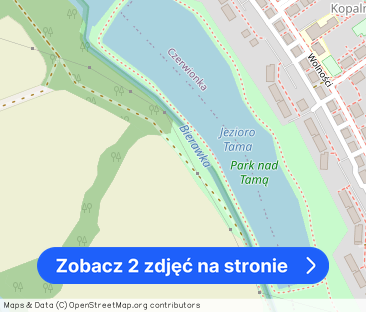 Mieszkanie na wynajem przy ul.Sienkiewicza w Leszczynach - Zdjęcie 1