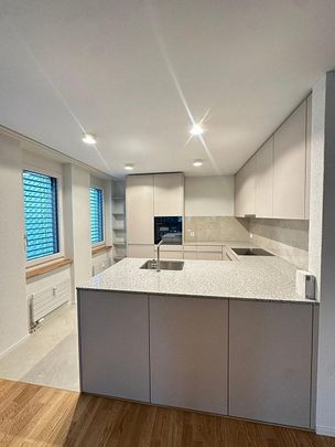 Erstbezug 3.5 Zimmerwohnung in Wetzikon - Foto 1