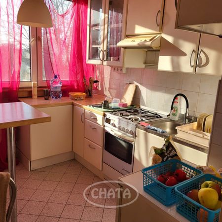 Pokój do wynajęcia/Centrum - Фото 3