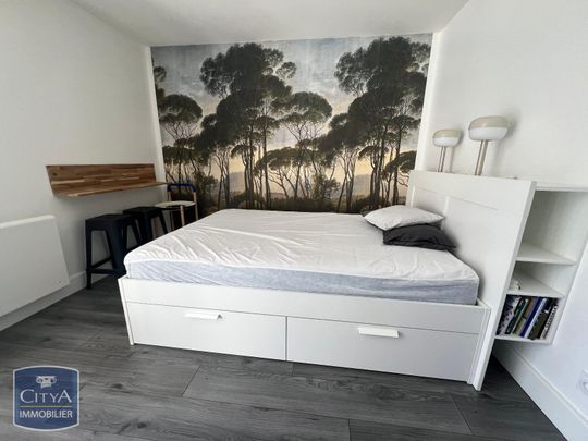 Location Appartement 1 pièce 19m² GRENOBLE 38000 - Photo 1