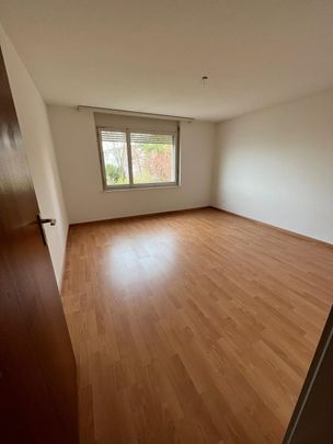 SPECIAL OFFER Spacious, comfortable and bright apartment - Photo 1