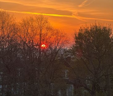 Room in a Shared Flat, Brixton Hill, SW2 - Photo 5