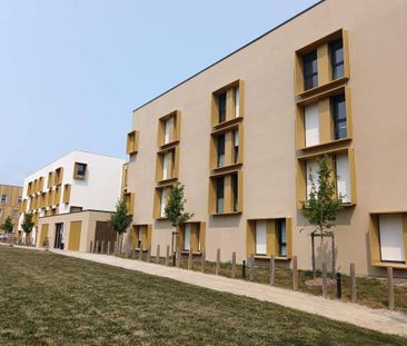 Appartement 1 pièce - - Photo 2