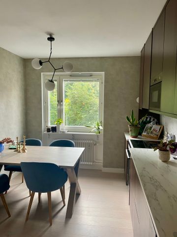 Hornsgatan, Frösön - Photo 5