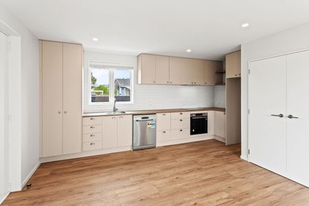 45 Plunket Street, Spreydon - Photo 3