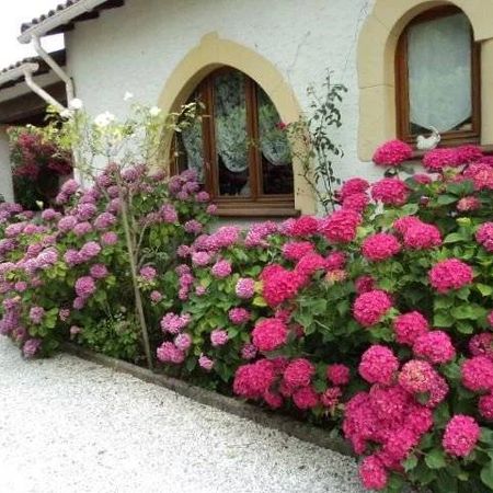 Meublé: Studio avec jardin et parking – Saint-Paul-de-Vence - Photo 3