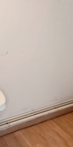 Location Appartement 1 pièce 15m² ST AUBIN D AUBIGNE 35250 - Photo 1