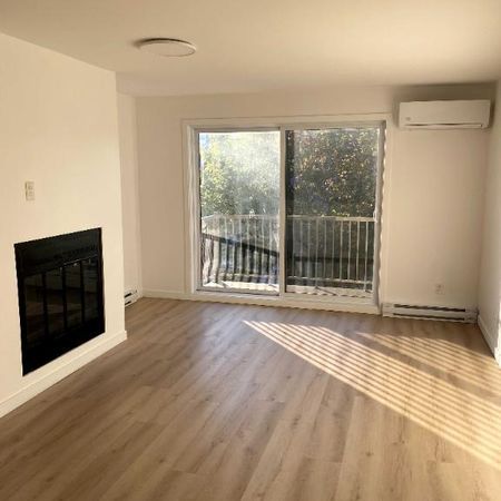 Logement 3 1/2 à louer à Montréal/Anjou/Hochelaga à proximité de l'A40 et A25. - Photo 3