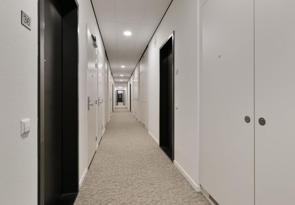 Albertina Agnesstraat 166 - Foto 1