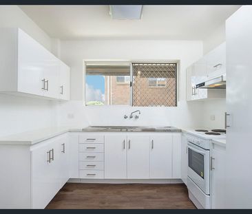 Renovated 2-Bedroom Unit in Prime Coorparoo Location - Photo 4