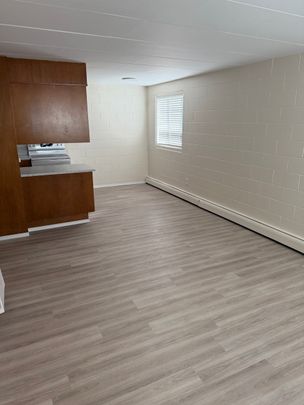 1 BDRM/1 BATH - 2315 7TH ST E - Available NOV 1 - Photo 1