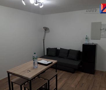 Location appartement rénové 2 pièces 33.49 m² à Marignier (74970) 5 - Photo 1