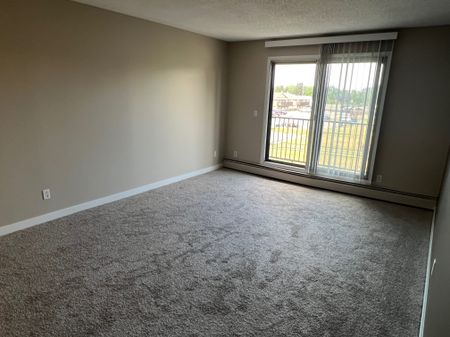 Spacious 2 Bedroom Cat Friendly Suite in Clearview! - Photo 2