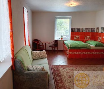 Pronájem bytu 2+kk 90 m², Opařany - Фото 5