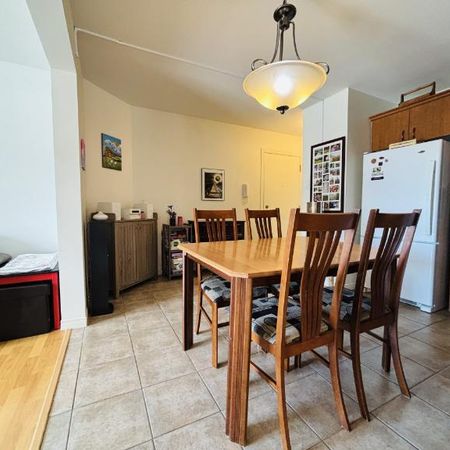 Appartement 4 ½ à louer Lévis mai 2026 - Photo 3