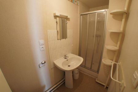 Location Appartement 1 pièce Meublé 26m² ANGERS 49100 - Photo 5
