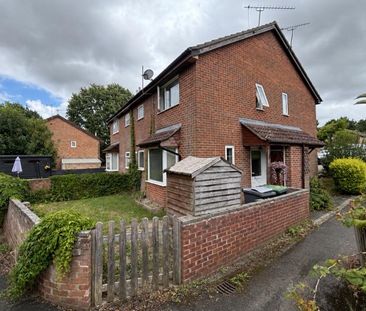 Starina Gardens, Waterlooville - Photo 6