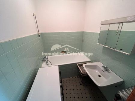 Location Appartement 1 pièce 22m² PEIRA CAVA 06440 - Photo 3