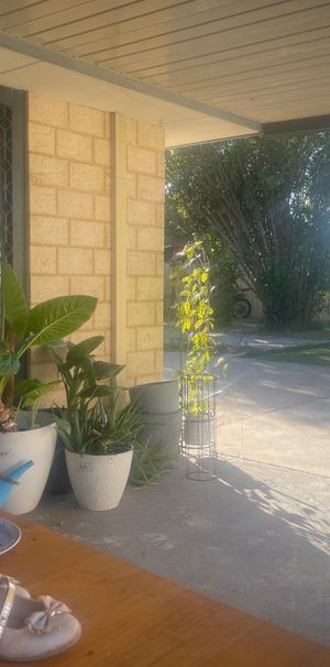 Huntingdale - Photo 2