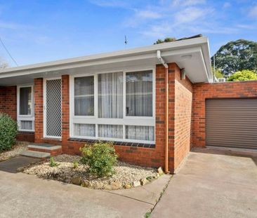 Large One Bedroom Unit - Photo 6