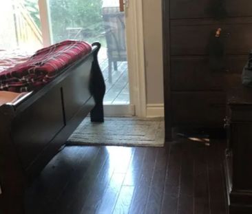 For Lease - 302 Hendon Avenue Unit# upper, Toronto, Ontario - Photo 4