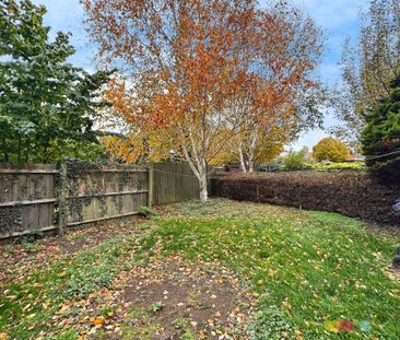 Maple Drive - Photo 5