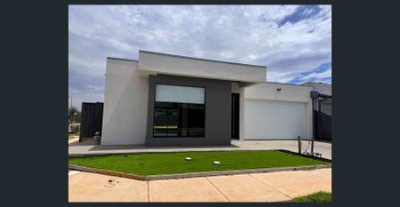 Comfortable & Contemporary Family Living in the Heart of Tarneit - Photo 2