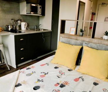 Standard Studio - Photo 4