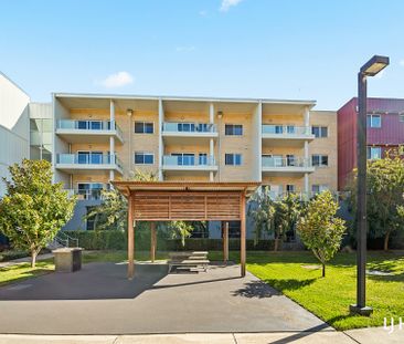 29/132 Thynne Street, Bruce ACT, Belconnen - Photo 6