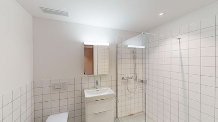 Moderne Wohnung in der Überbauung Silber8 zu vermieten - Foto 3