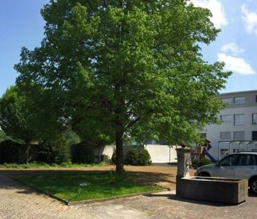 5.5 Zimmer, EG - Photo 6