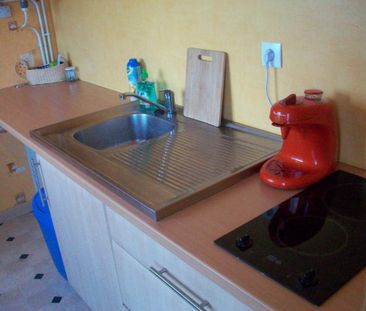 Location Appartement 1 pièce Meublé 30m² FLERS 61100 - Photo 3