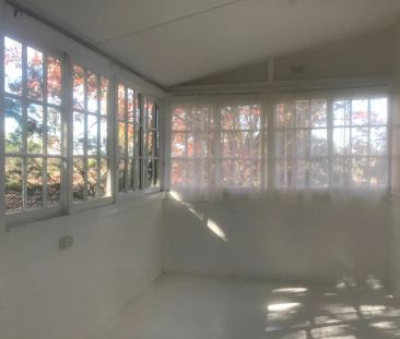 Charming Cottage Centrally Located In Hazelbrook! - Photo 1