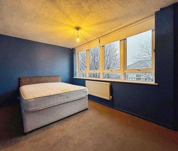 Napier Street, Newcastle Upon Tyne, NE2 - Photo 6