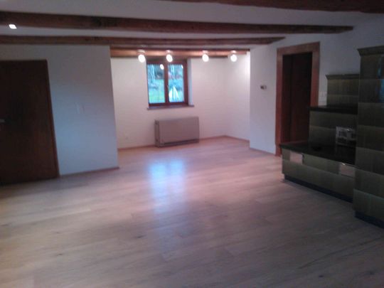 2.5 Zimmer, 96 m², EG - Foto 1