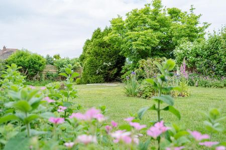 2 bedroom bungalow to rent - Photo 5