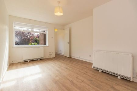 1 bedroom villa to rent - Photo 5