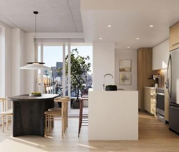 Studio - 1415 Avenue Papineau, Montréal - Photo 2