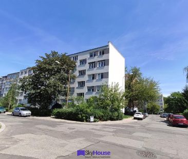 Mieszkanie Wrocław Stare Miasto powierzchnia 9.0 m² C191-WM-81138 - Photo 4