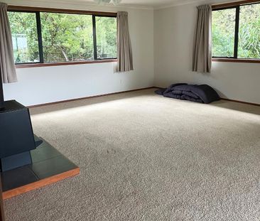 Sunny Haven - Katikati - Photo 5