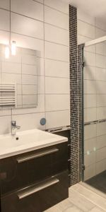 Appartement 2 pièces à Nancy - Photo 3